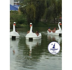 Le Grand Cygne