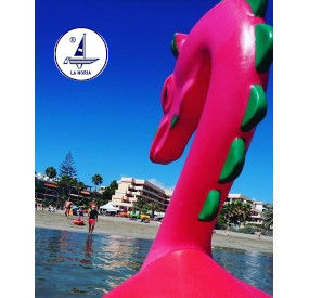 The Large Dragon Hydro-pedalo