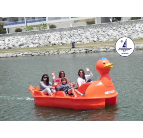 Tweetie Pie Hydro-pedalo