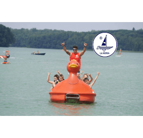 Tweetie Pie Hydro-pedalo