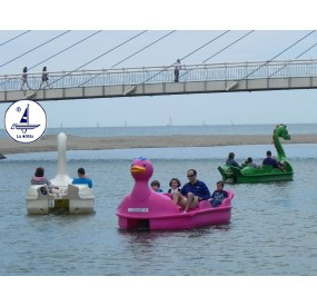 Tweetie Pie Hydro-pedalo