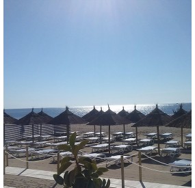 Sombrillas para hamacas