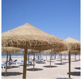 Sonnenschirme für Hängematten