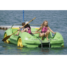 Tretbootle Hydrobeetle