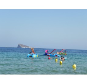 Tretboote New Beetle