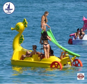 grande usine de bateaux à pédales d'hippocampes