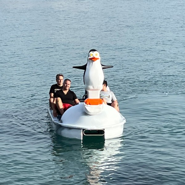 Big Penguin 4 seater pedal boat