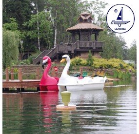 The Large Swan Hydro-pedalo